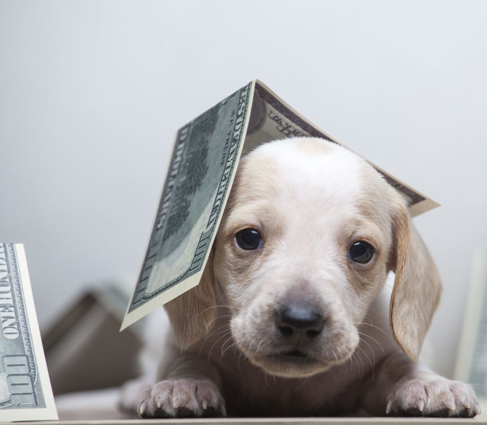 Editorial: June 10, 2022